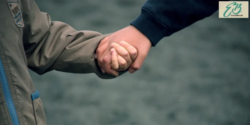 best vista child support lawyer